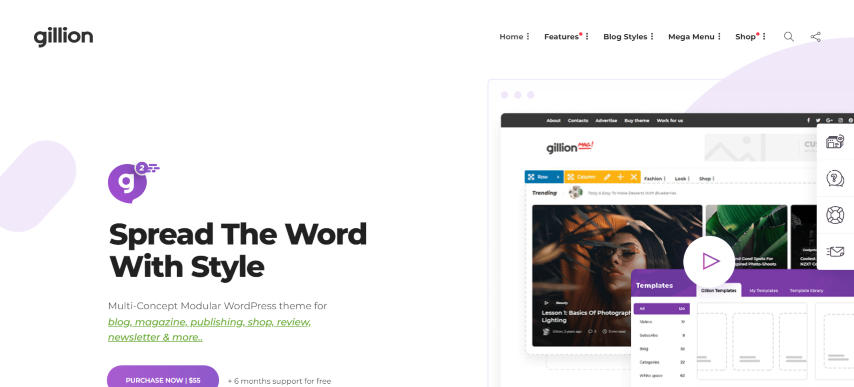 Gillion v4.4 - Multi-Concept Blog Magazine & Shop WordPress Theme