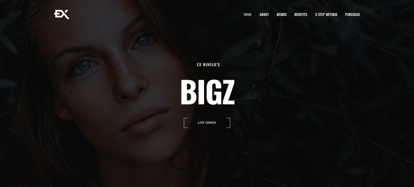 Bigz - Under Construction Template