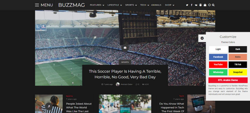 BuzzMag v2.1 - Viral News WordPress Magazine/Blog Theme