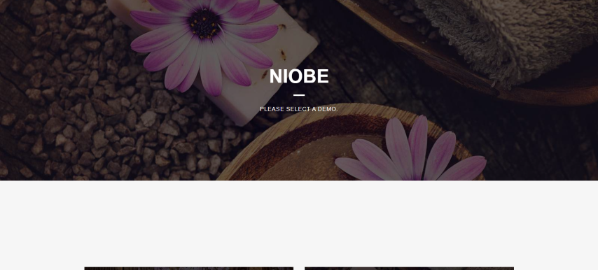 Niobe v1.2.2 - Spa & Salon WordPress Theme