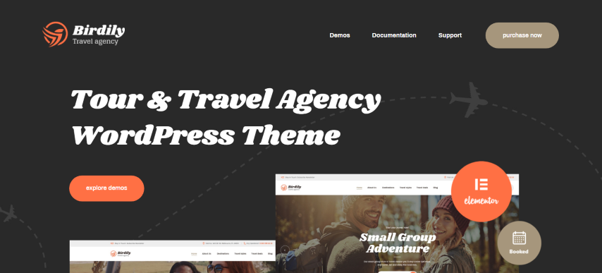 Birdily v1.0.6 - Travel Agency & Tour Booking WordPress Theme