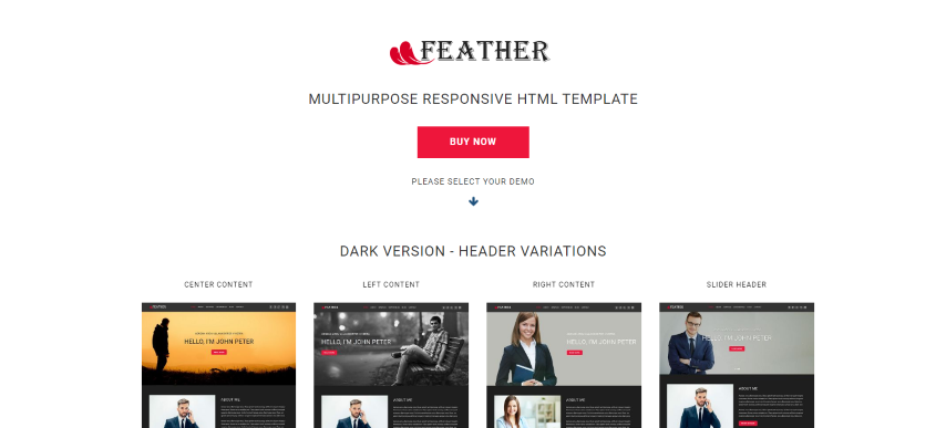 FEATHER - Multipurpose Responsive Personal Portfolio, Resume One Page HTML Template