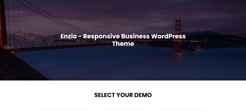 Enzio v1.1.4 - Responsive Business WordPress Theme