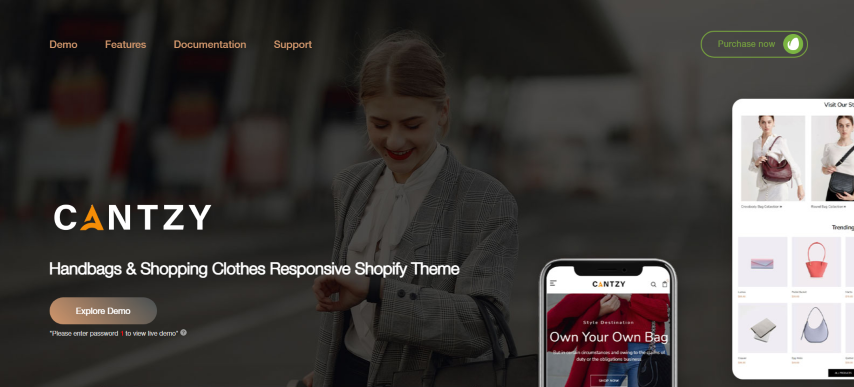 Cantzy v1.0 - Handbags & Shopping Clothes Responsive Shopify Theme