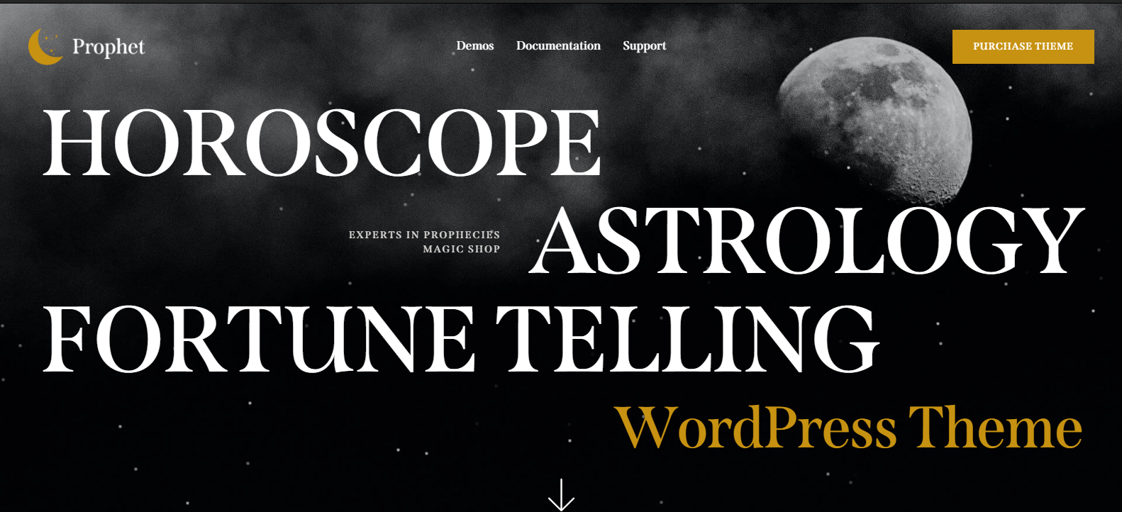 Prophet v1.0 - Horoscope,Astrology & Fortune Telling WordPress Theme