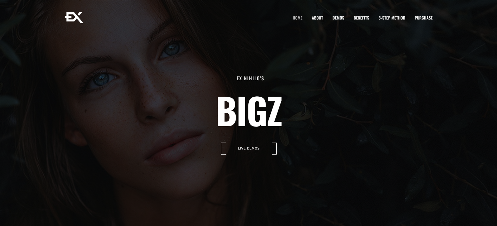 Bigz - Under Construction Template