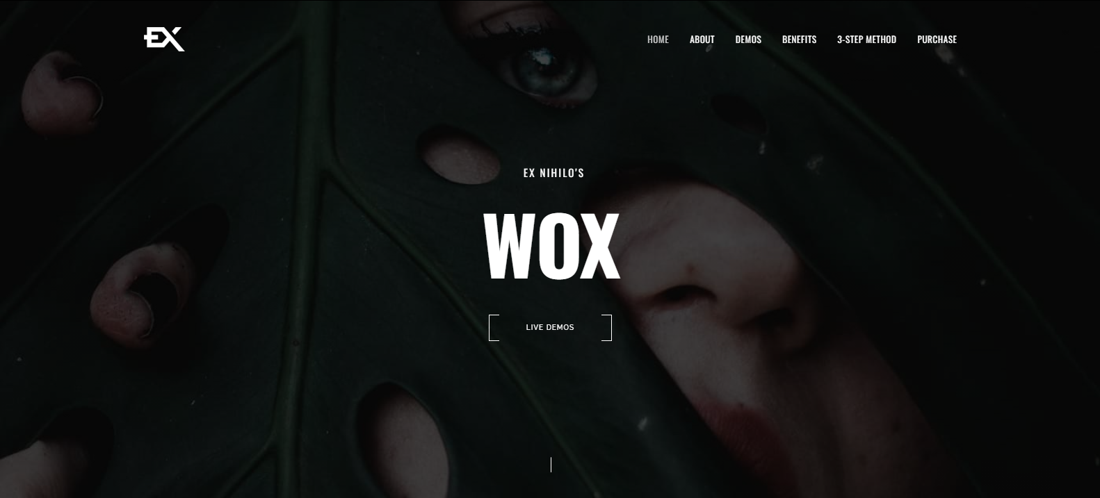 Wox - Photography Portfolio Template