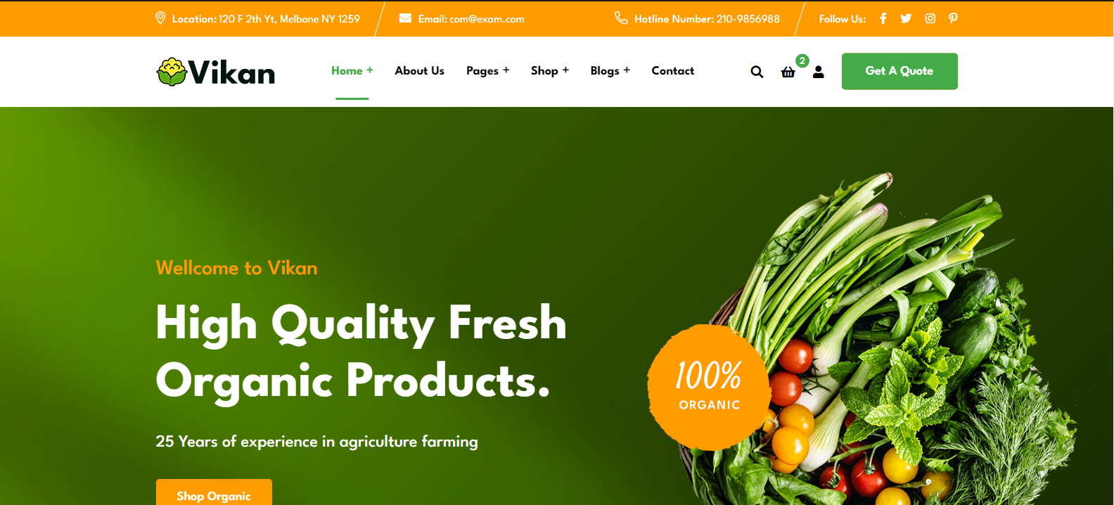 Vikan - Organic Food Store HTML Template