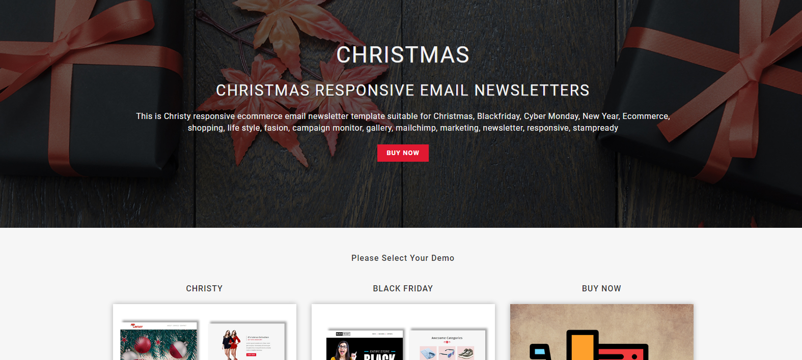 Christy - Responsive Christmas Email Template with Stampready Builder Access