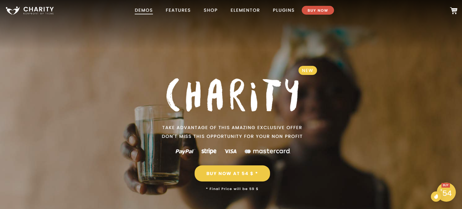 Charity Foundation v2.8 - Charity Hub WP Theme