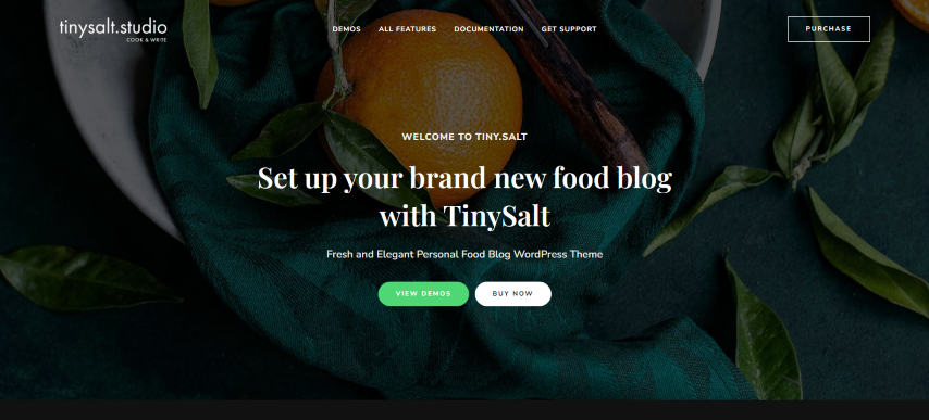 TinySalt v3.2.0 - Personal Food Blog WordPress Theme