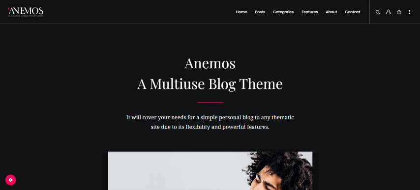 Anemos v2.3.7 - A Multiuse Blogging WordPress Theme